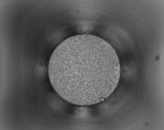 X0000103970324200809261839