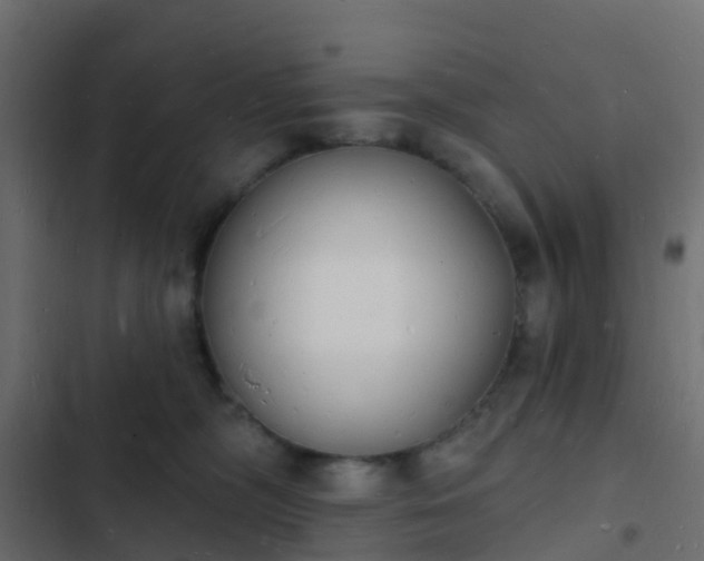 X0000103970326200809261839