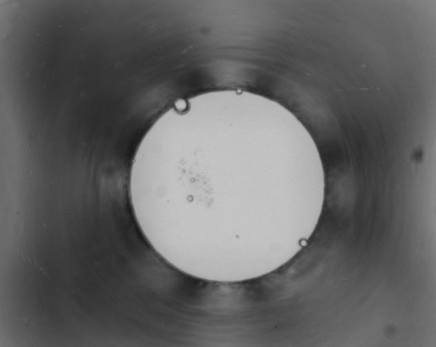 X0000103970329200809261839