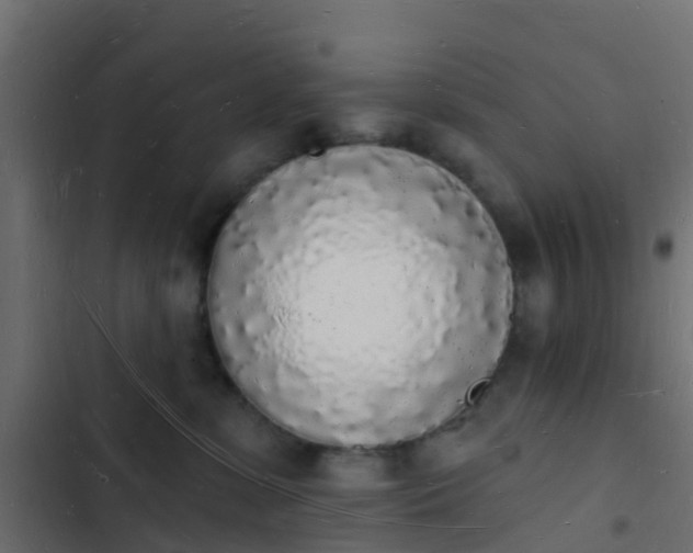 X0000103970331200809261839