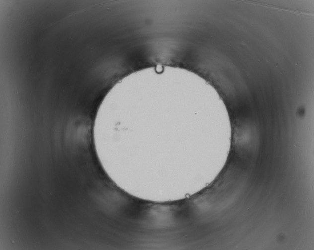 X0000103970332200809261839