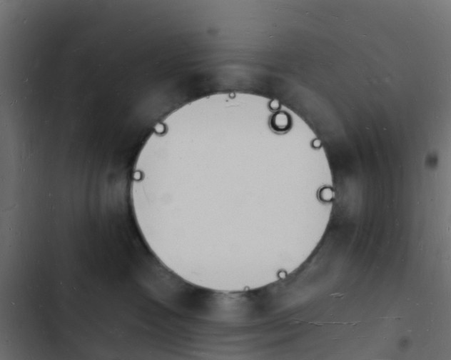 X0000103970333200809261839