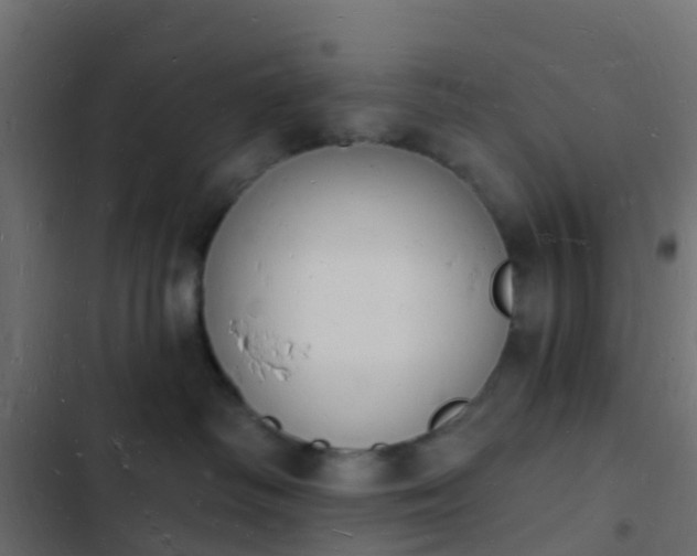 X0000103970334200809261839