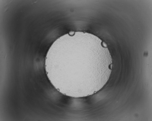 X0000103970336200809261839