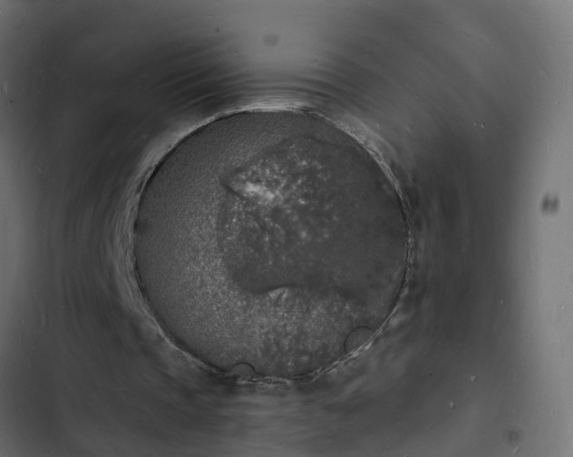 X0000103970337200809261838