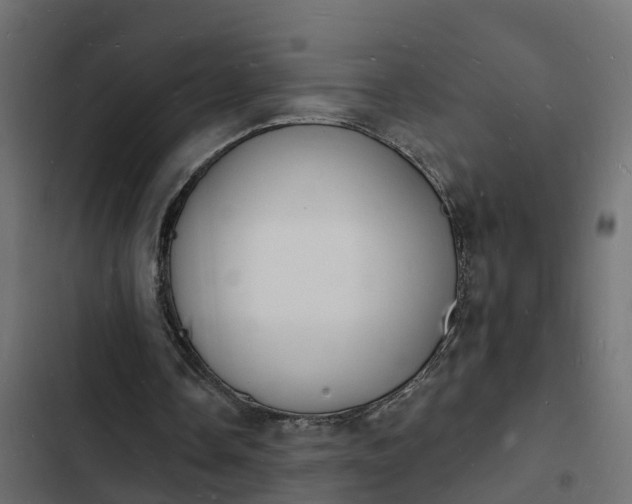 X0000103970338200809261839