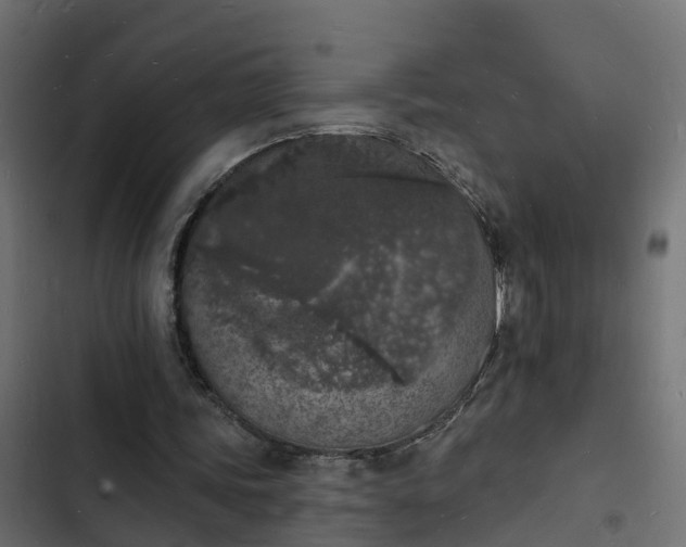 X0000103970339200809261839