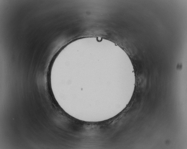 X0000103970340200809261839