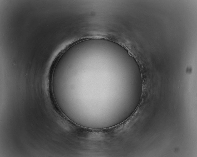 X0000103970342200809261839