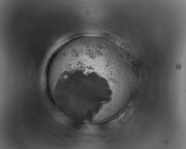 X0000103970343200809261839