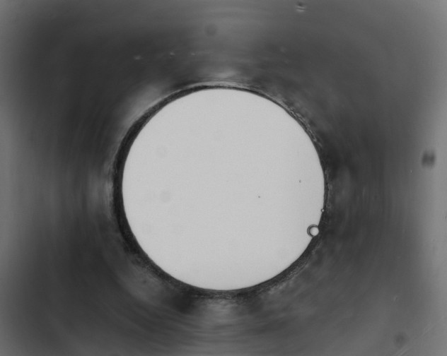 X0000103970344200809261839