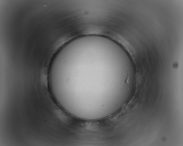 X0000103970345200809261839