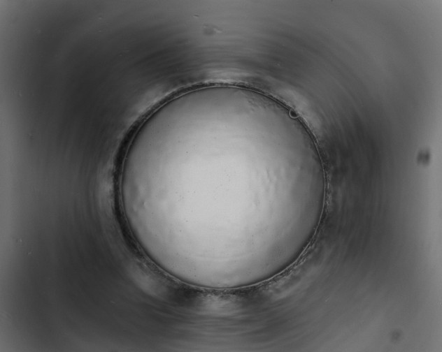 X0000103970346200809261839