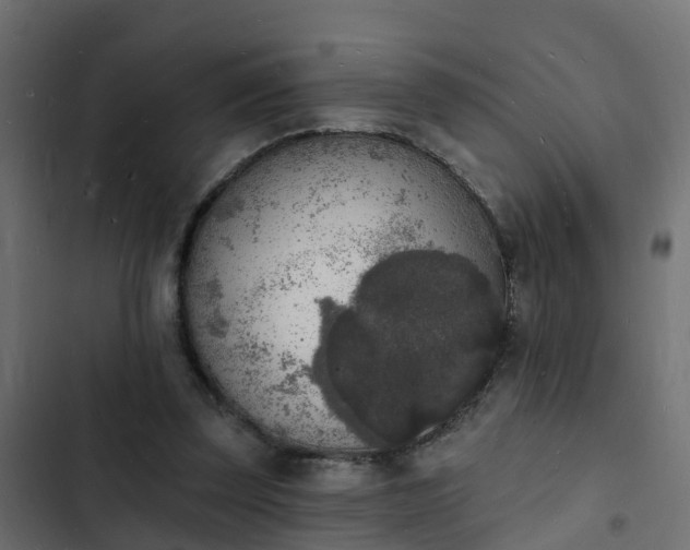 X0000103970347200809261839