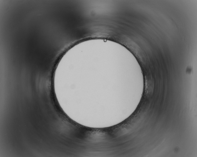 X0000103970348200809261839