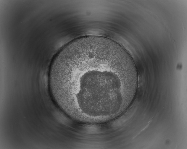 X0000103970349200809261839