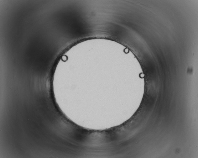 X0000103970350200809261839