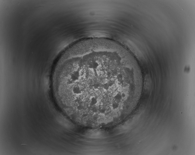 X0000103970351200809261839