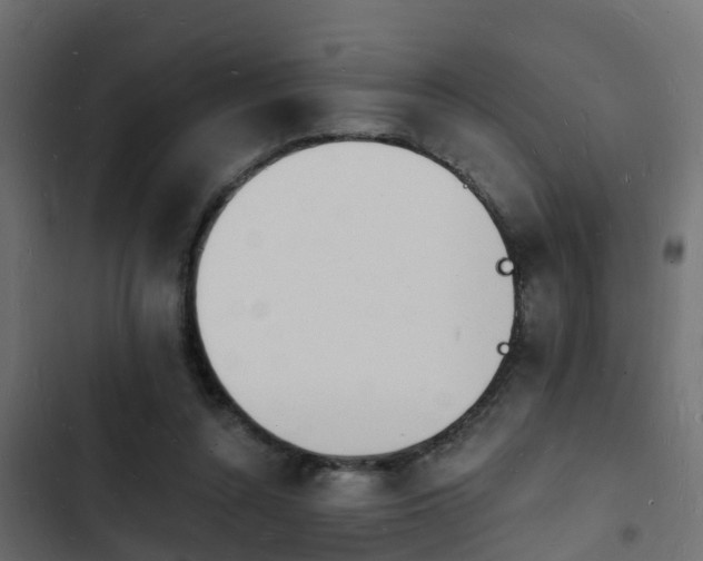 X0000103970352200809261839