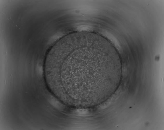 X0000103970353200809261839