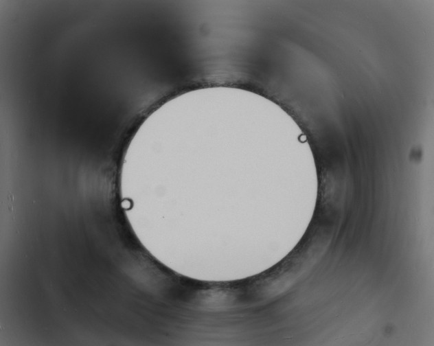 X0000103970356200809261839