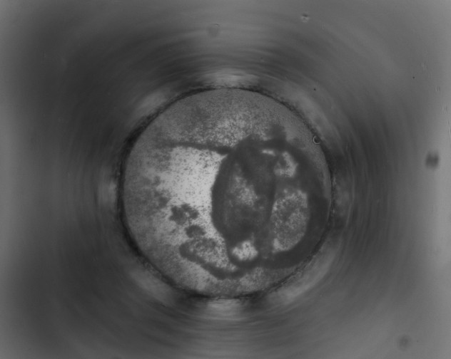 X0000103970357200809261839