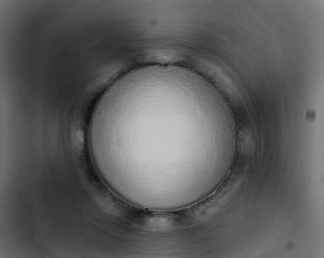 X0000103970358200809261839