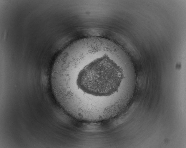 X0000103970359200809261839