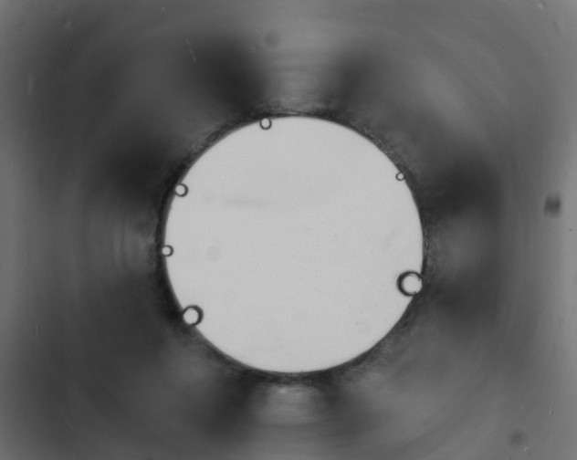 X0000103970360200809261839