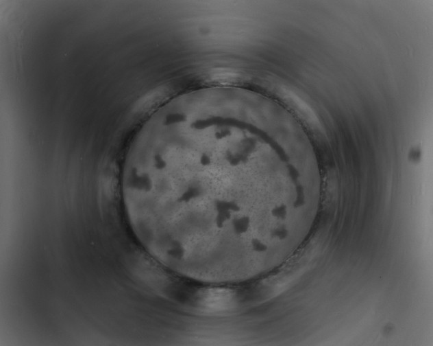 X0000103970361200809261839