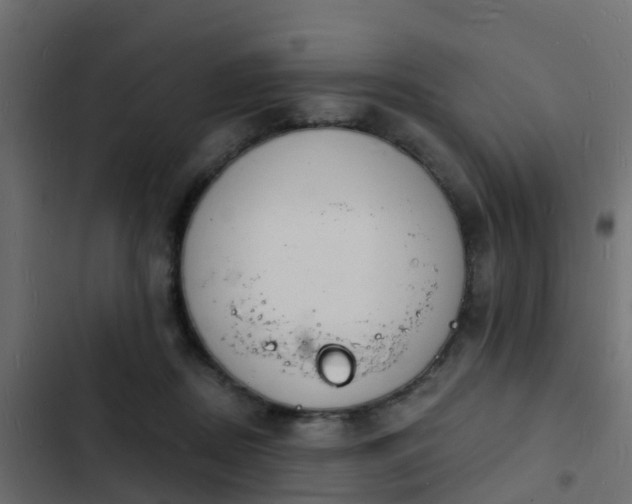 X0000103970362200809261839