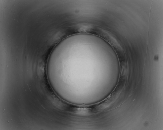 X0000103970363200809261839