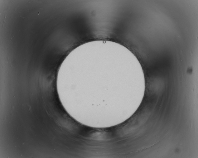 X0000103970364200809261839