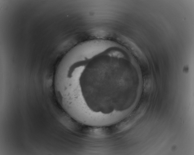 X0000103970365200809261839