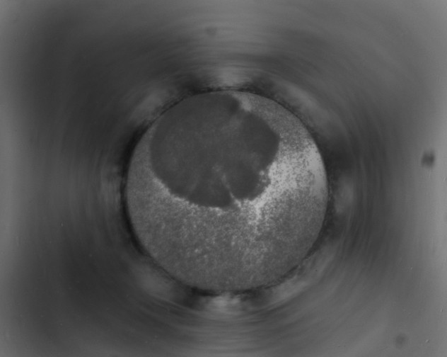 X0000103970366200809261839