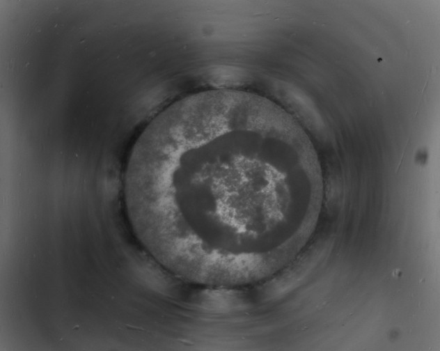 X0000103970367200809261839