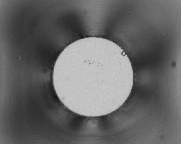 X0000103970368200809261839