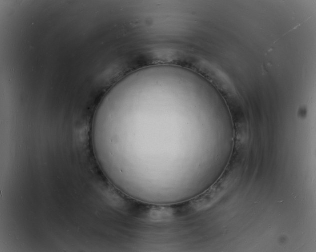 X0000103970369200809261839