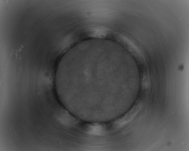 X0000103970370200809261839