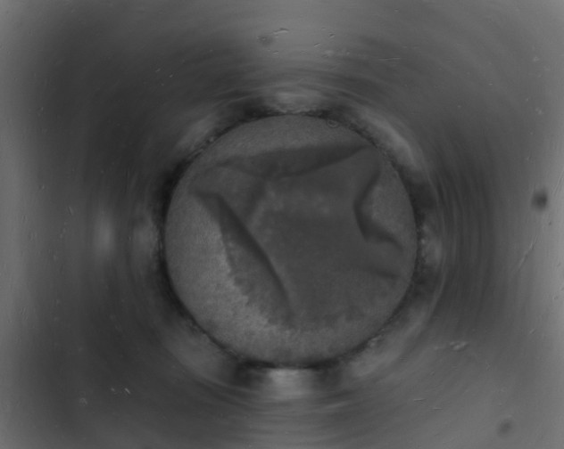 X0000103970371200809261839