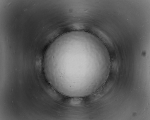 X0000103970373200809261839