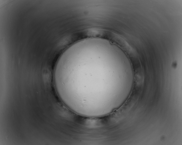 X0000103970375200809261839