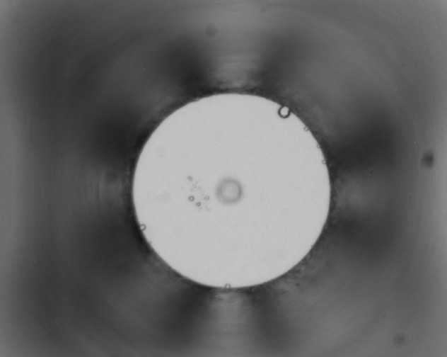 X0000103970376200809261839