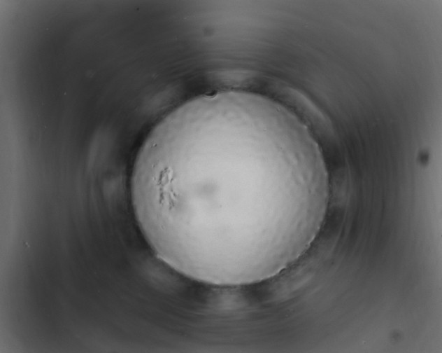 X0000103970377200809261839