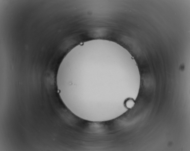 X0000103970380200809261839