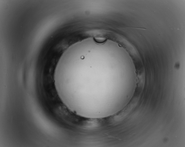 X0000103970381200809261839