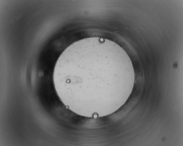 X0000103970382200809261839