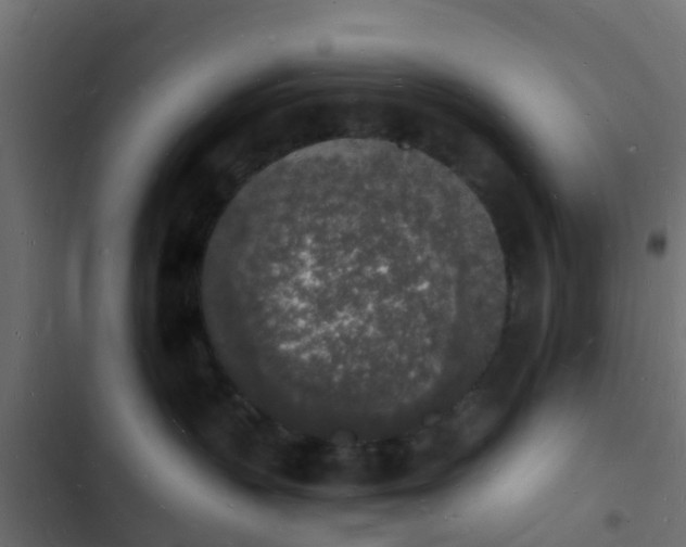 X0000103970383200809261839