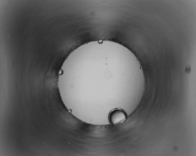 X0000103970384200809261839