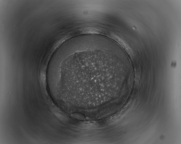 X0000103970386200809261838